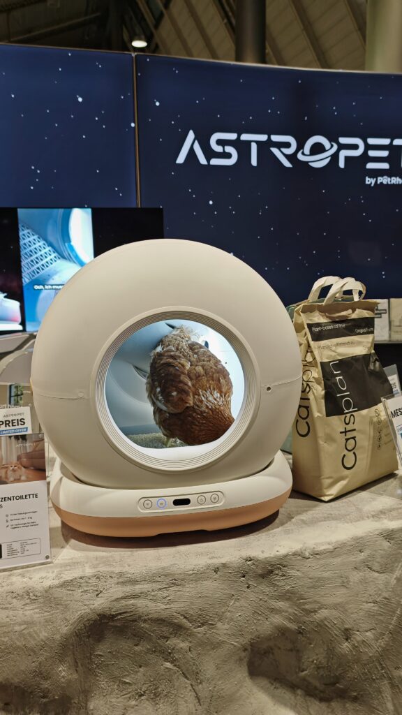 Dotty frisst katzenstreu