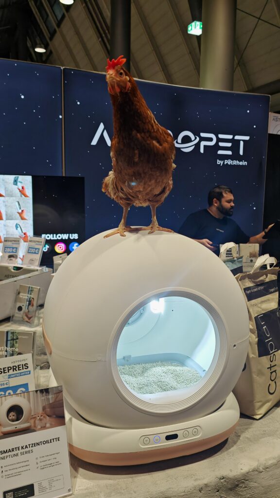 Dotty steht auf Astropet