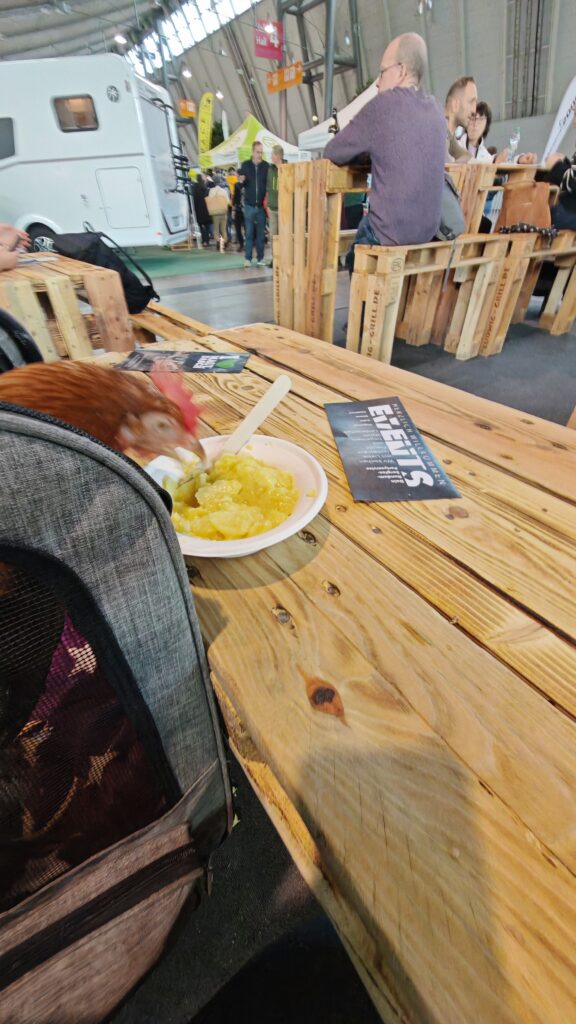 Dotty isst kartoffelsalat auf Messe