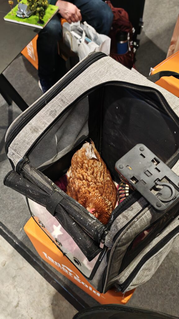 Dotty legt ei auf Messe