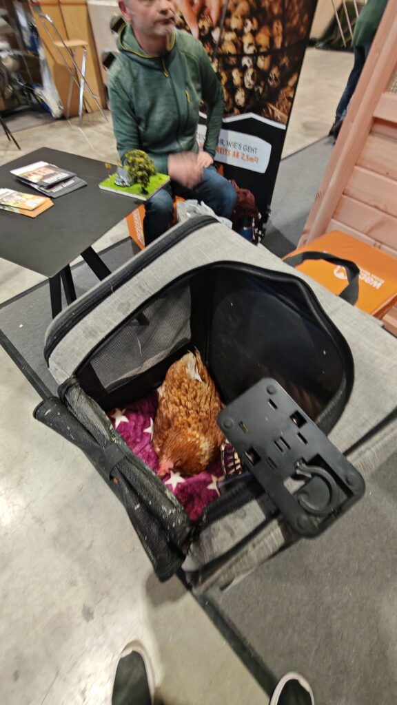 Dotty legt ei in Rucksack