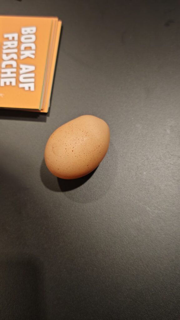 Dotty legt ein EI auf der Messe